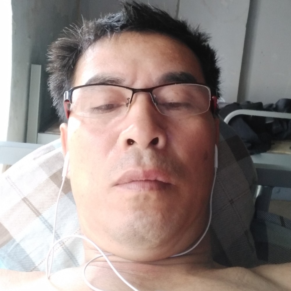 灰狼爱耍酷的照片