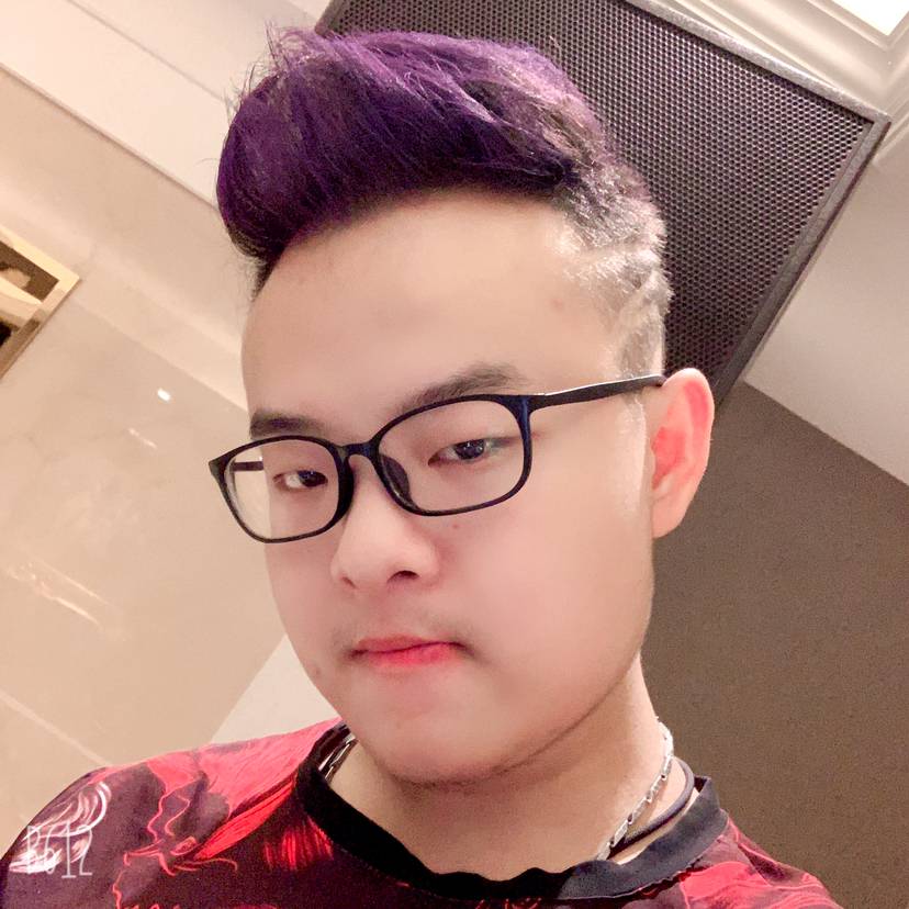 卷毛帅帅帅的照片