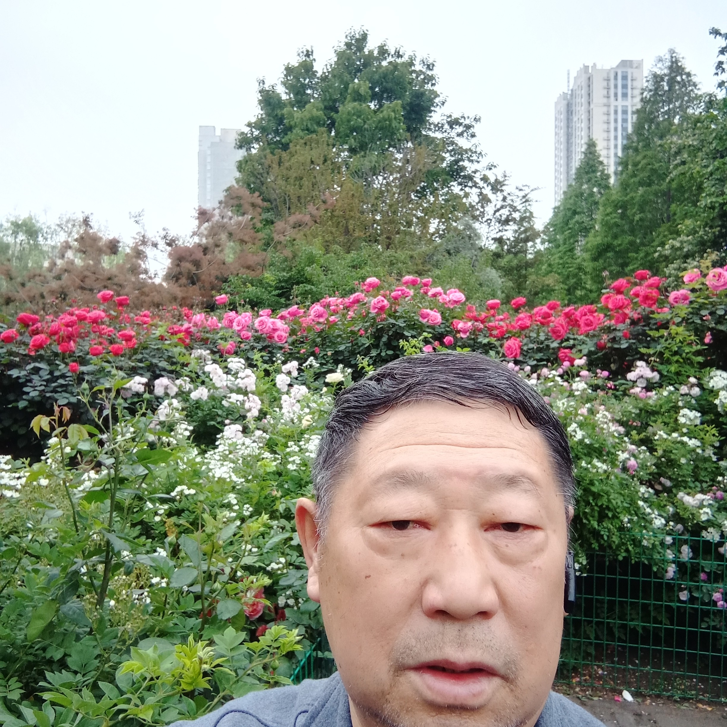 烤鸡凝眸孝顺的照片