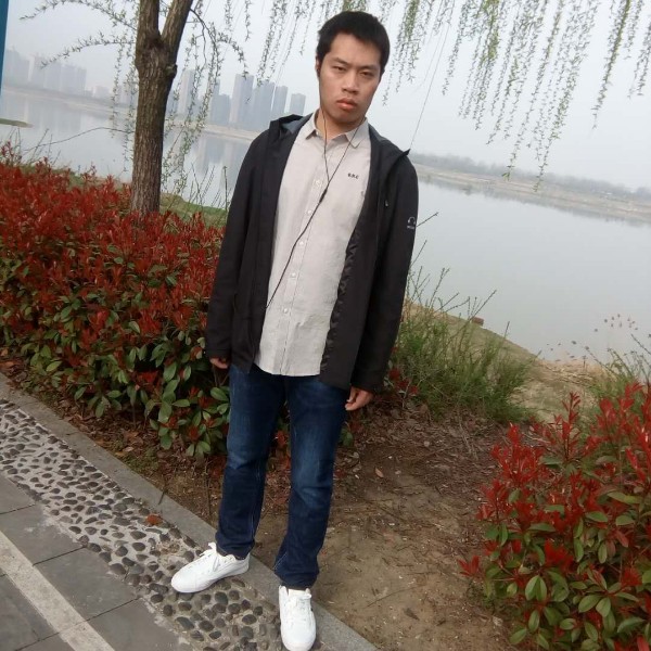 紫色轮回的照片
