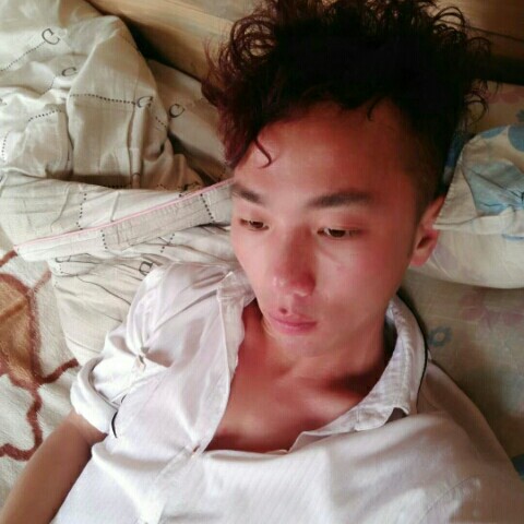 靓丽夏天的照片
