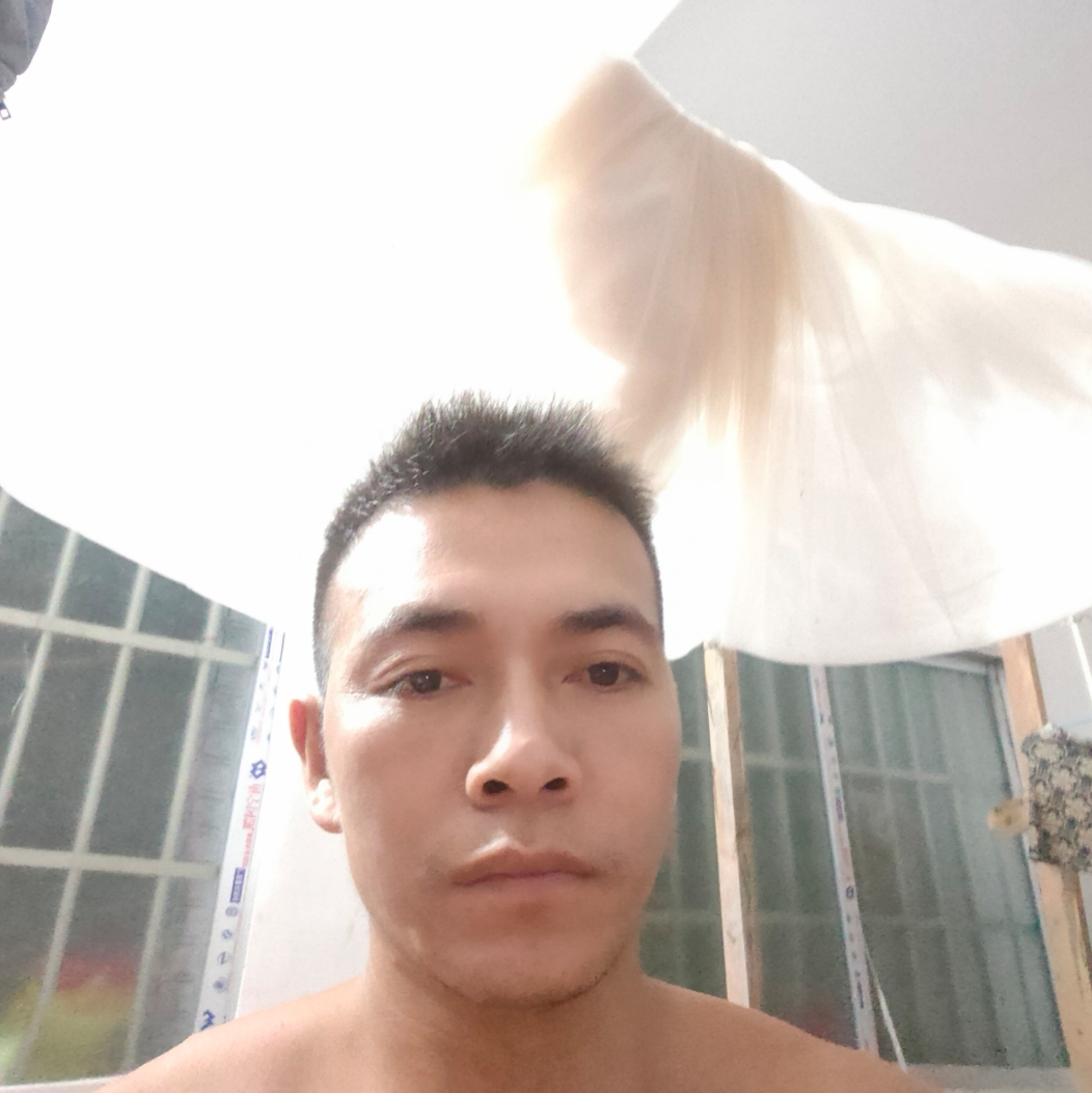 爱恋不悔的照片
