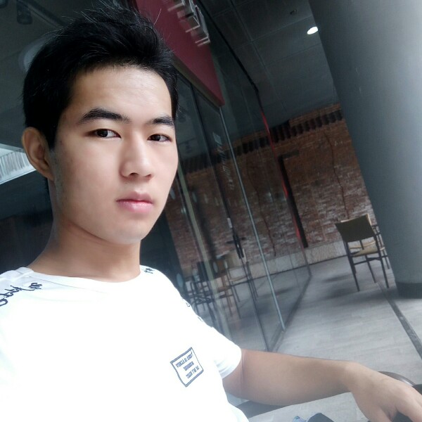 树叶贤惠的照片