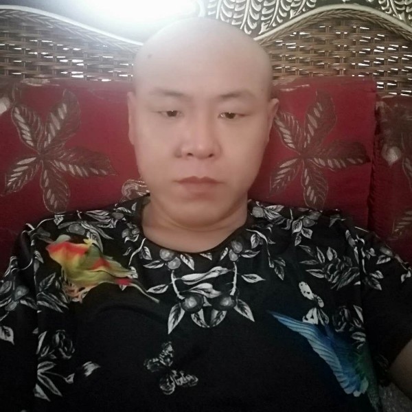 稳重有过客的照片