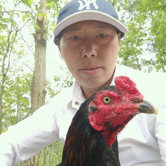 小龙1314的照片
