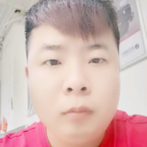 拼搏天空之城的照片
