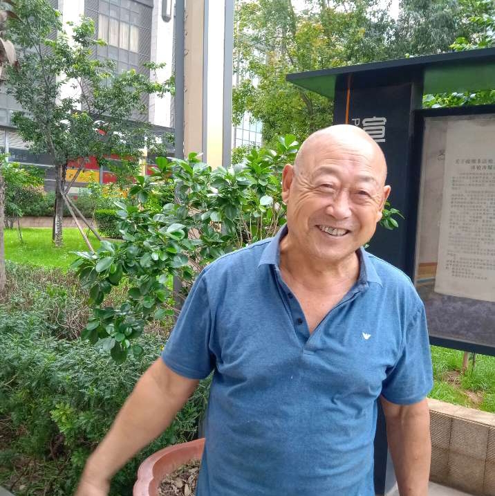 小鸭子苦恋健康的照片