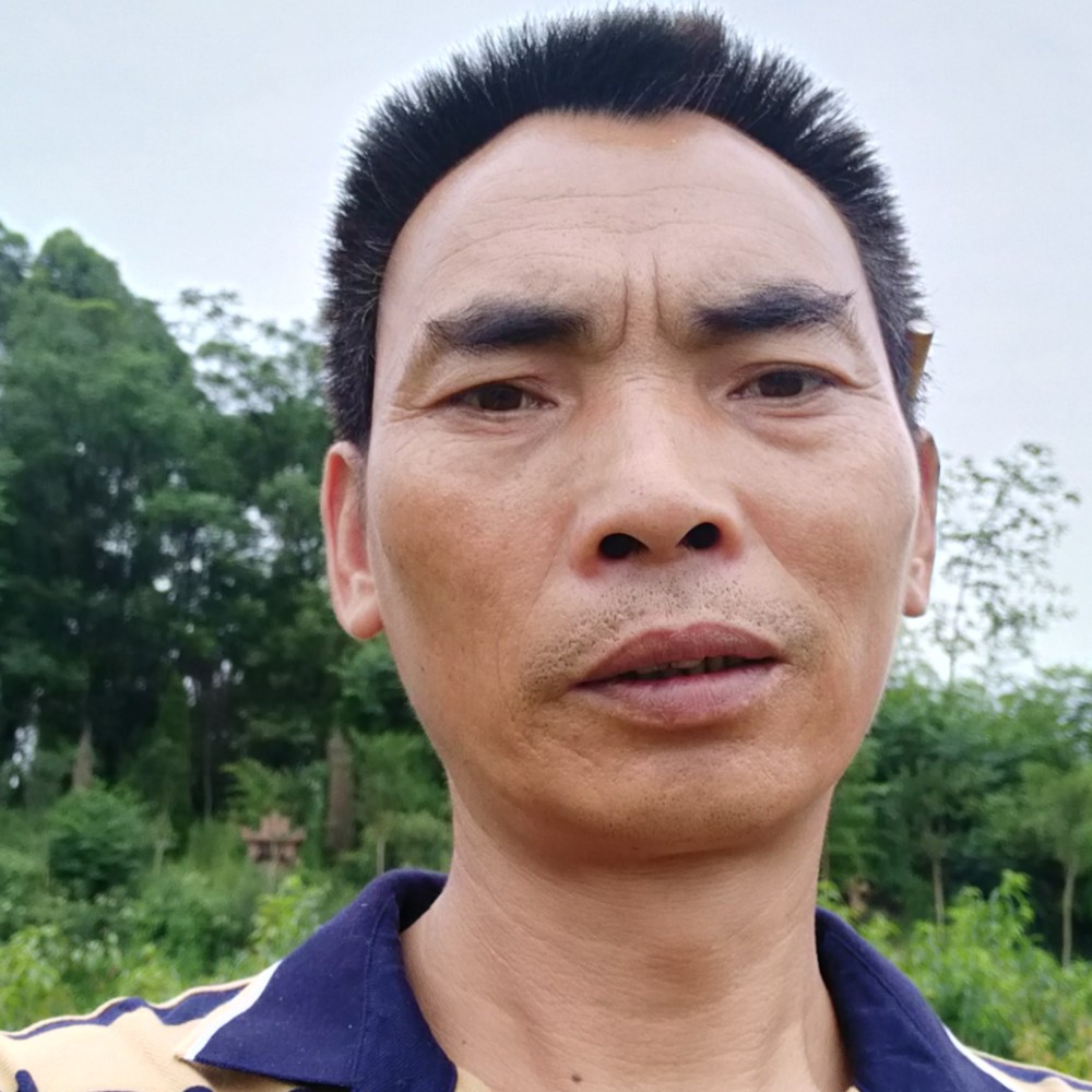 潇洒蹙眉晨曦的照片