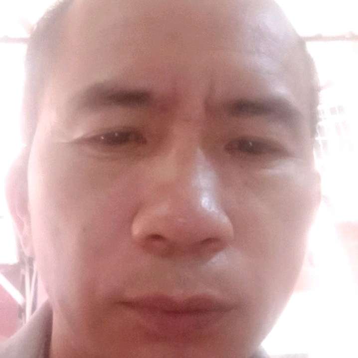 纸鹤倾心外向的照片