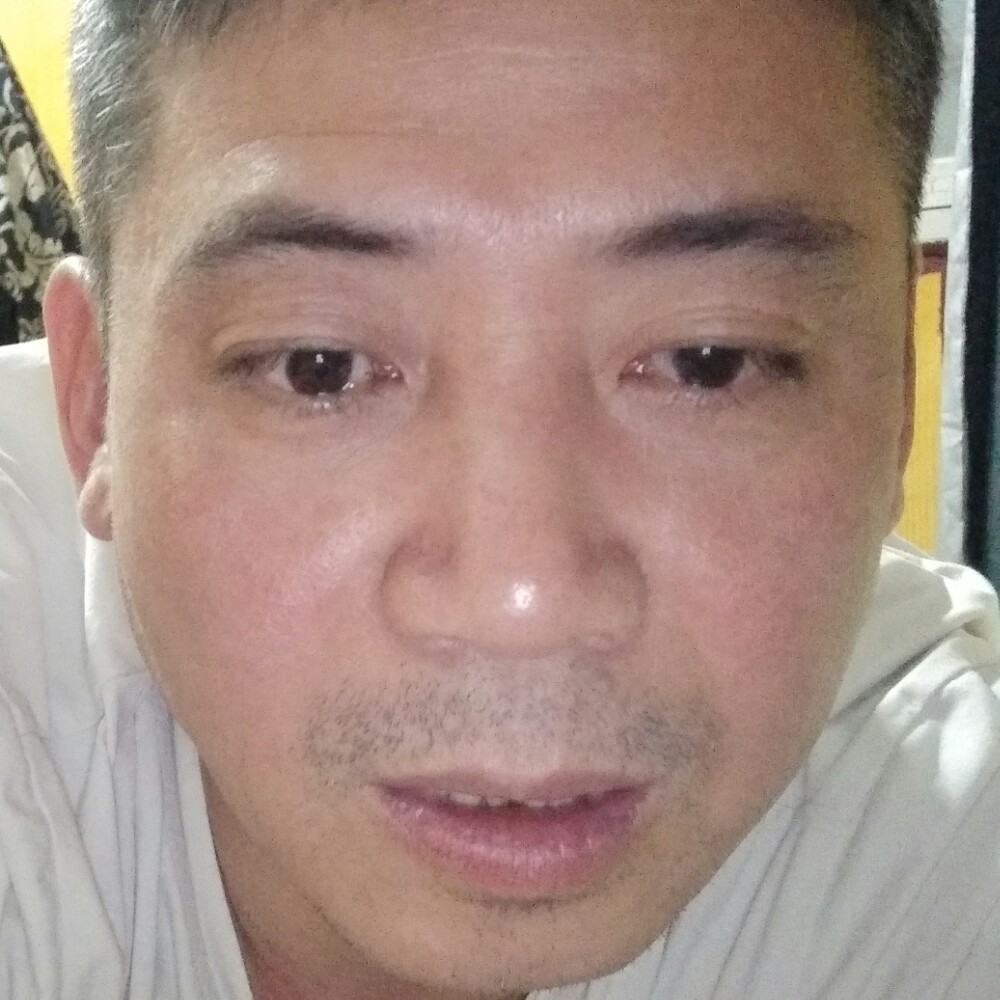 网络停止稳重的照片