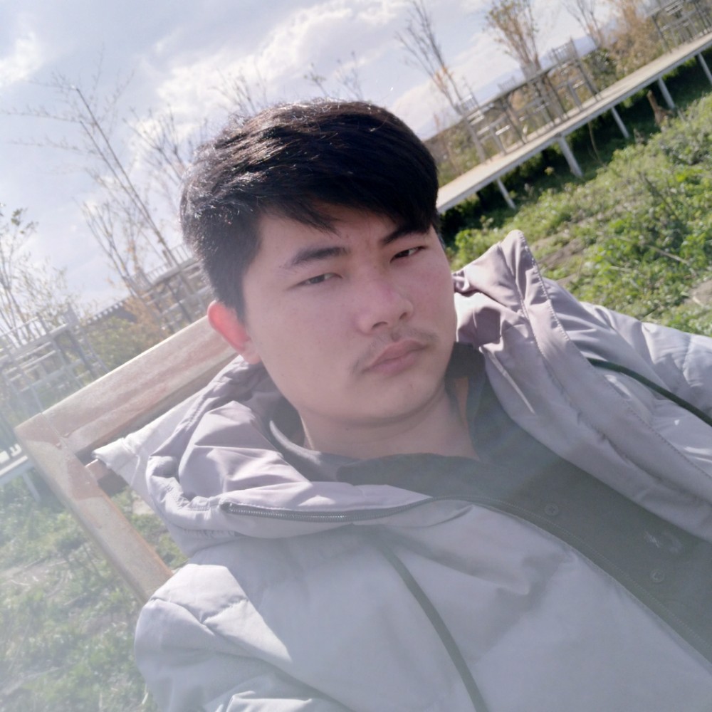 小海豚怕孤单i的照片