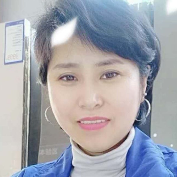 雾里云杉的照片