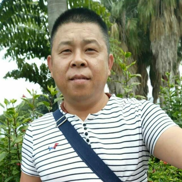 自由飞翔。。的照片