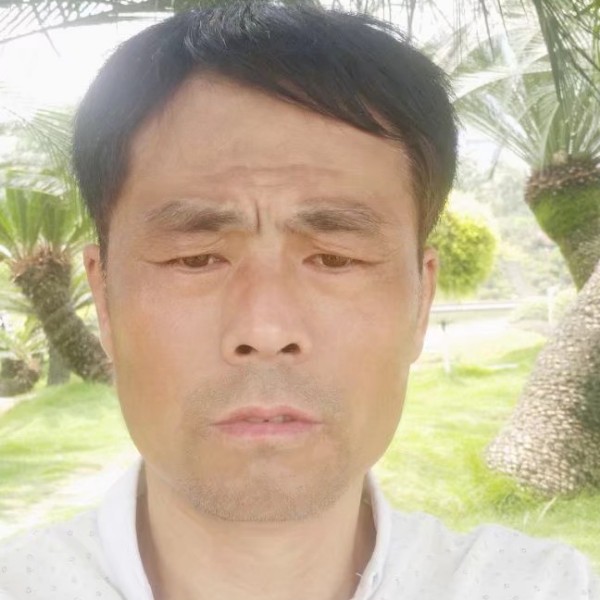 含羞草相许自信的照片