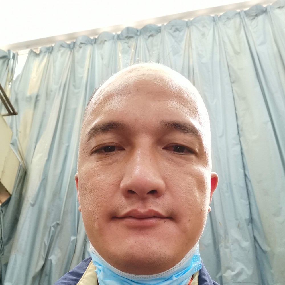 感动用向日葵的照片