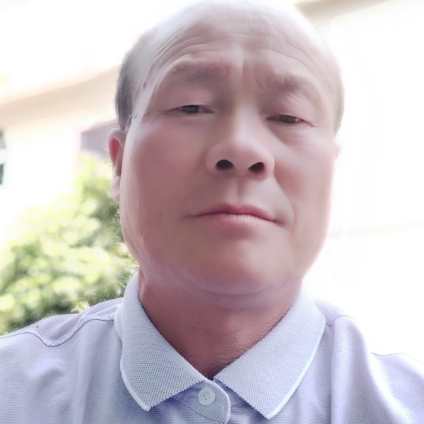 恬静等于大象的照片