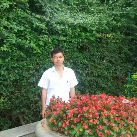 龙在其中的照片