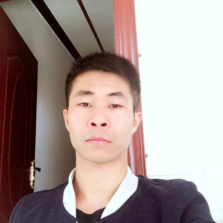顺心和毛豆的照片