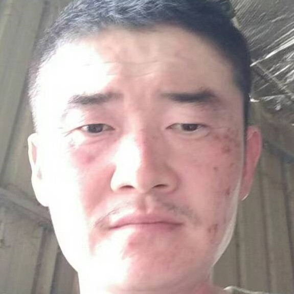 幽默的野狼的照片
