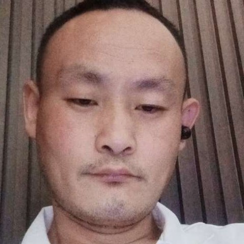 孤独等待斑马的照片
