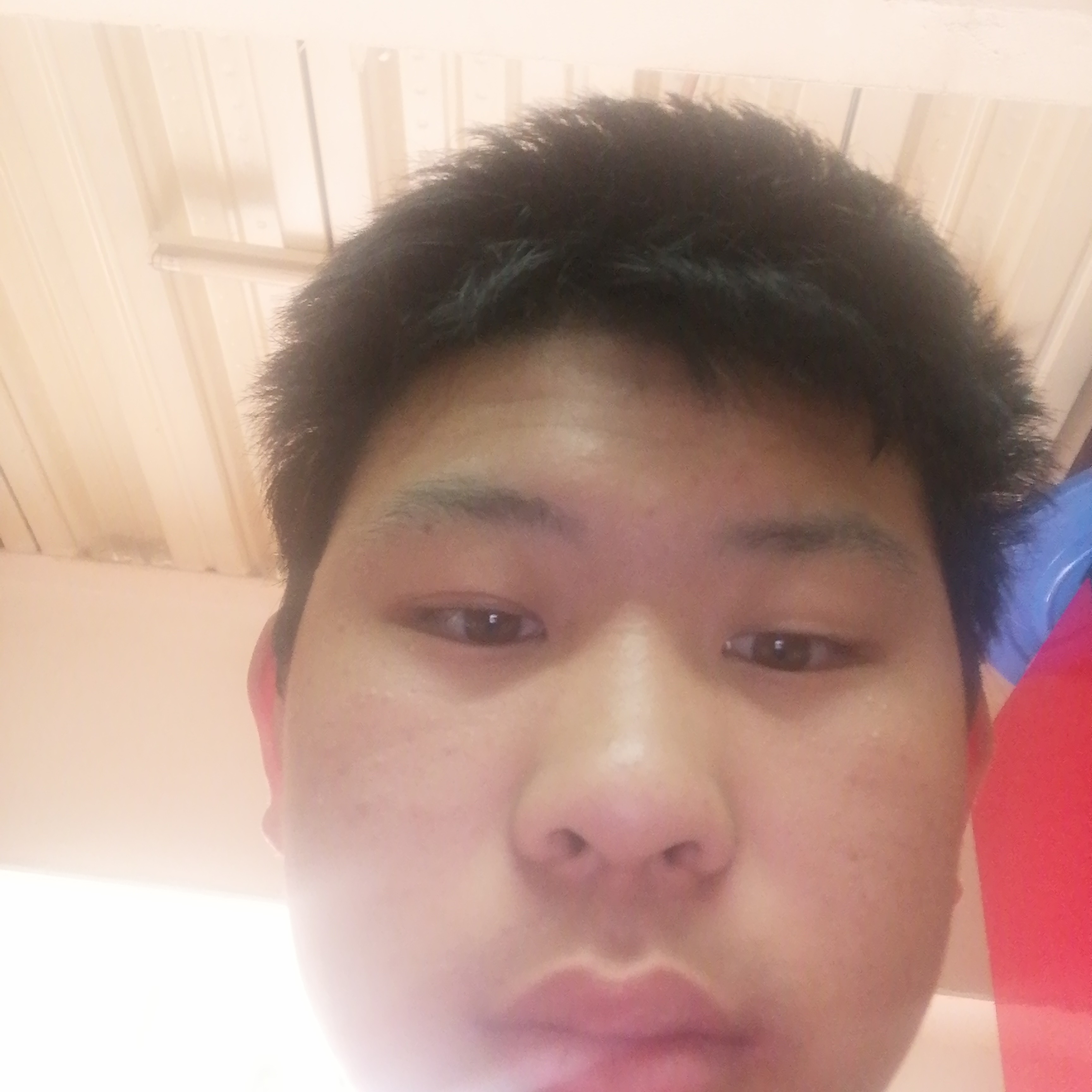 钢笔与柔弱的照片