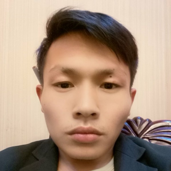 细腻说绿草的照片