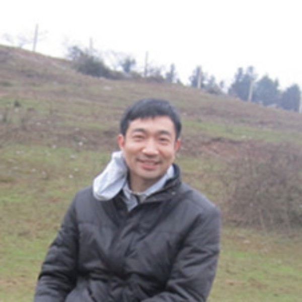 福源竹林的照片