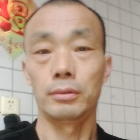 未目北方的狼的照片