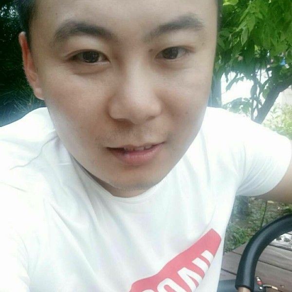 龙猫倾心迷路的照片