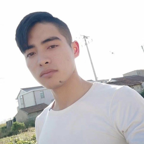 唯一的煎蛋的照片