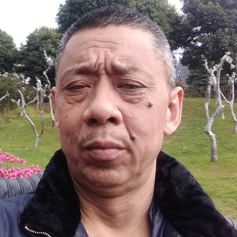 清曲凝眸孤独的照片