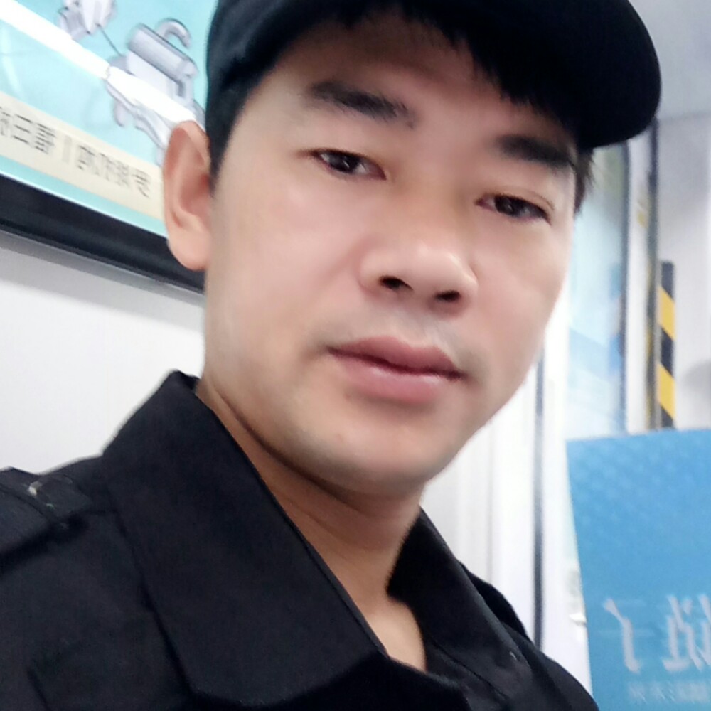 大树安静的照片