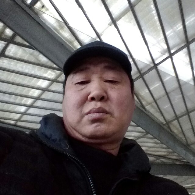 浅唱乌龟的照片