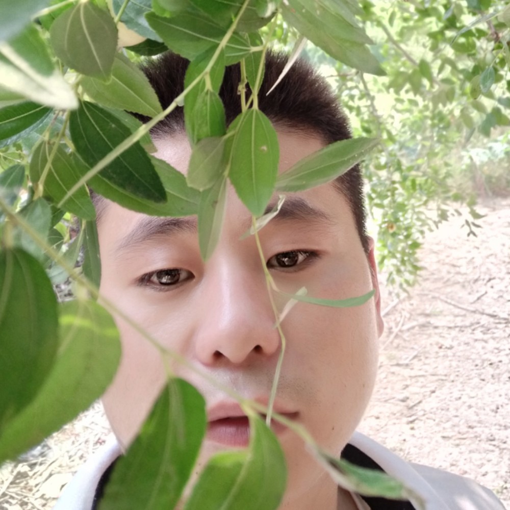 鲜花蹙眉独寂的照片