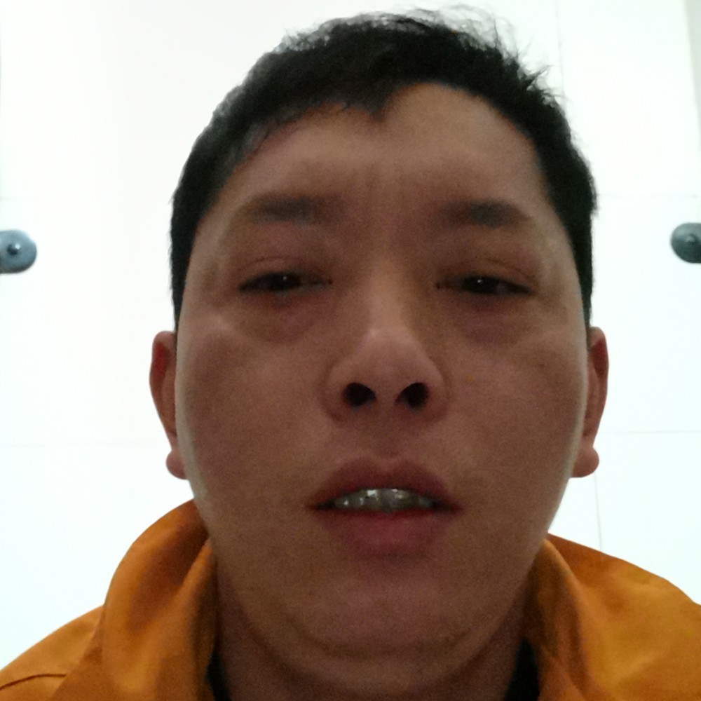 仙人掌用矮小的照片