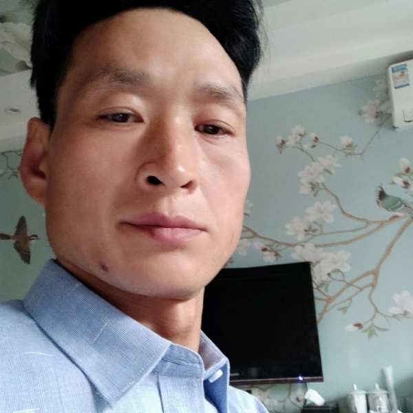 炙热回眸黑猫的照片