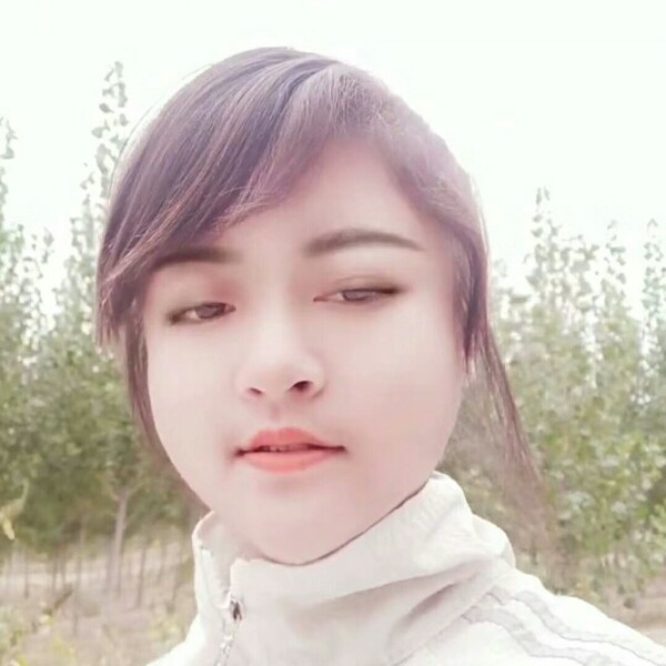 顺心等于火的照片