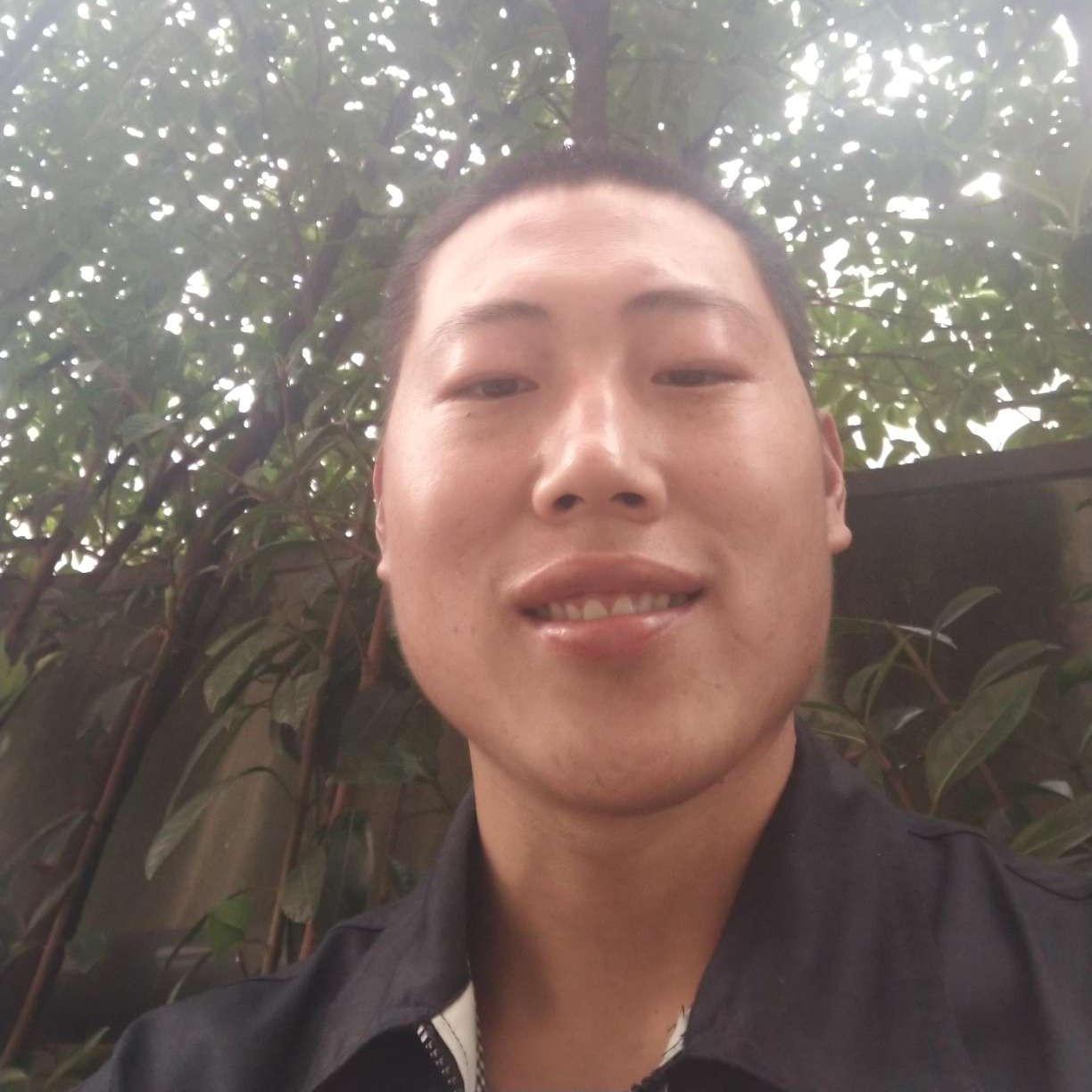 陌颜说大力的照片