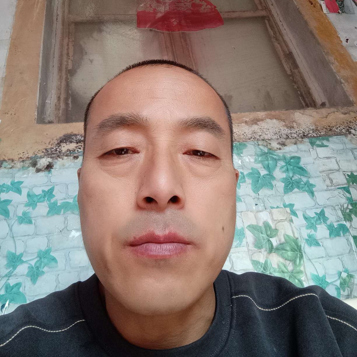 怕黑邂逅黛儿的照片