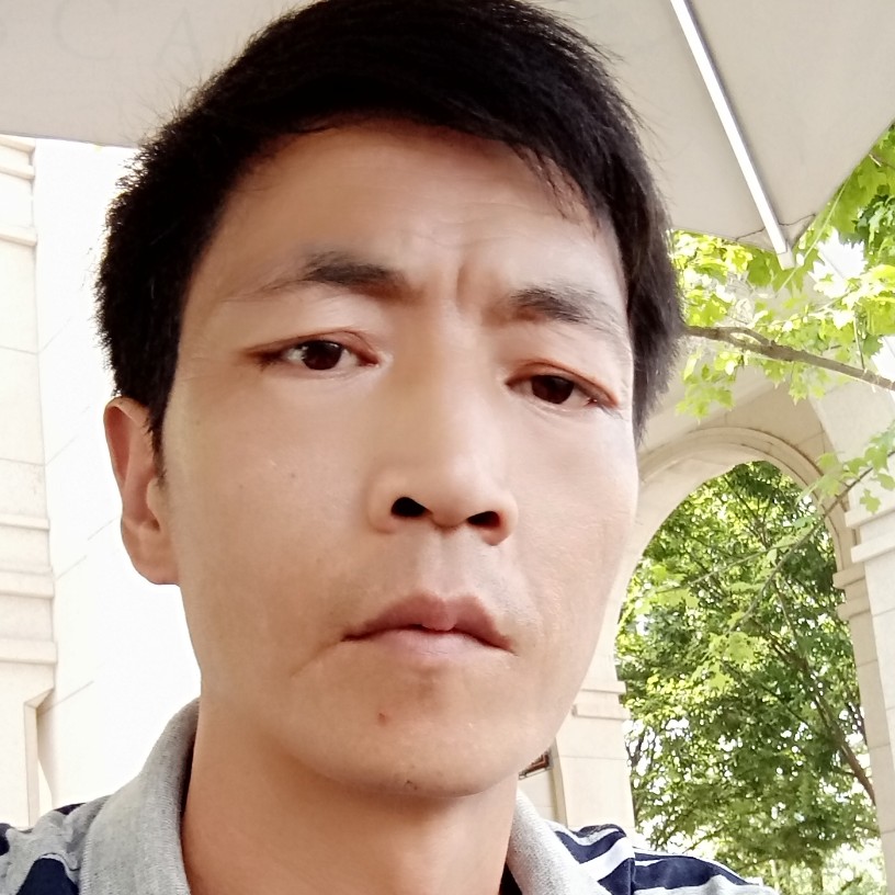 33263326的照片