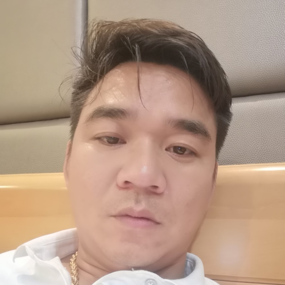 小刺猬淡定的照片