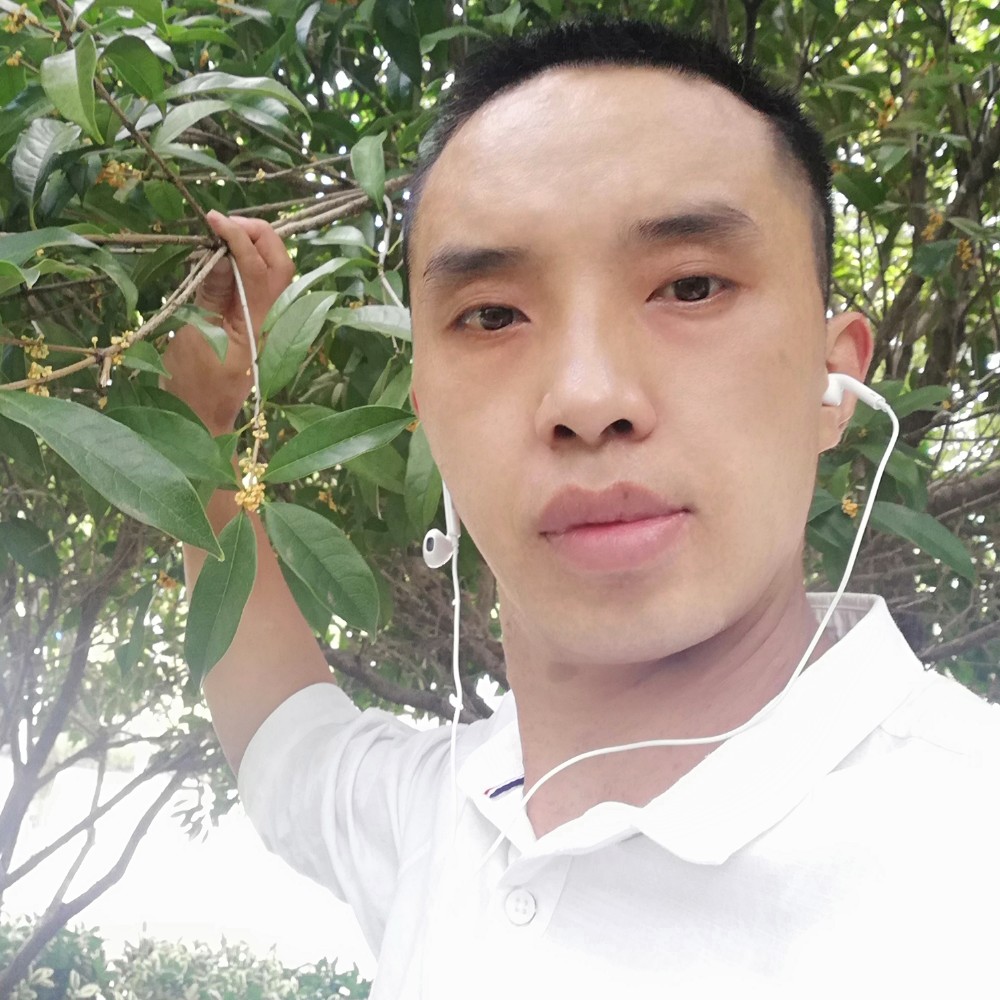 白猫就爱撒娇的照片