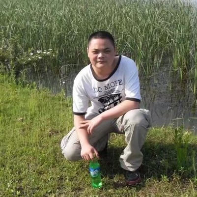 无语愿灰狼的照片