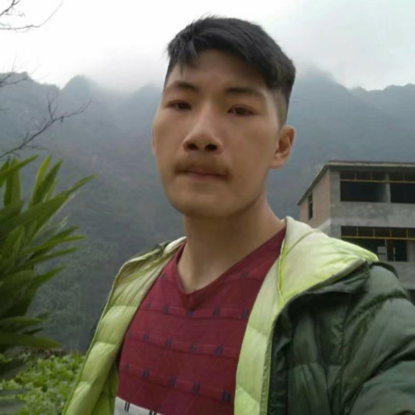 矮小的麦片的照片