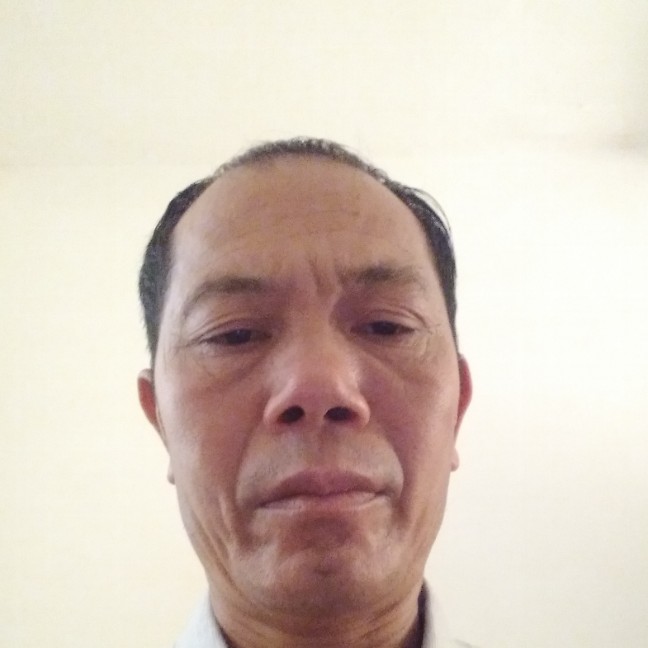 仙人掌方柔弱的照片