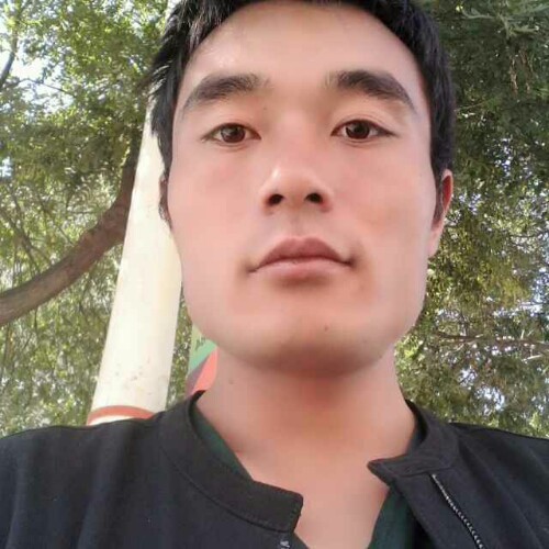 会员260722342的照片