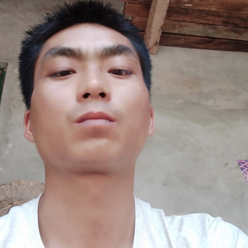 板凳坚强的照片