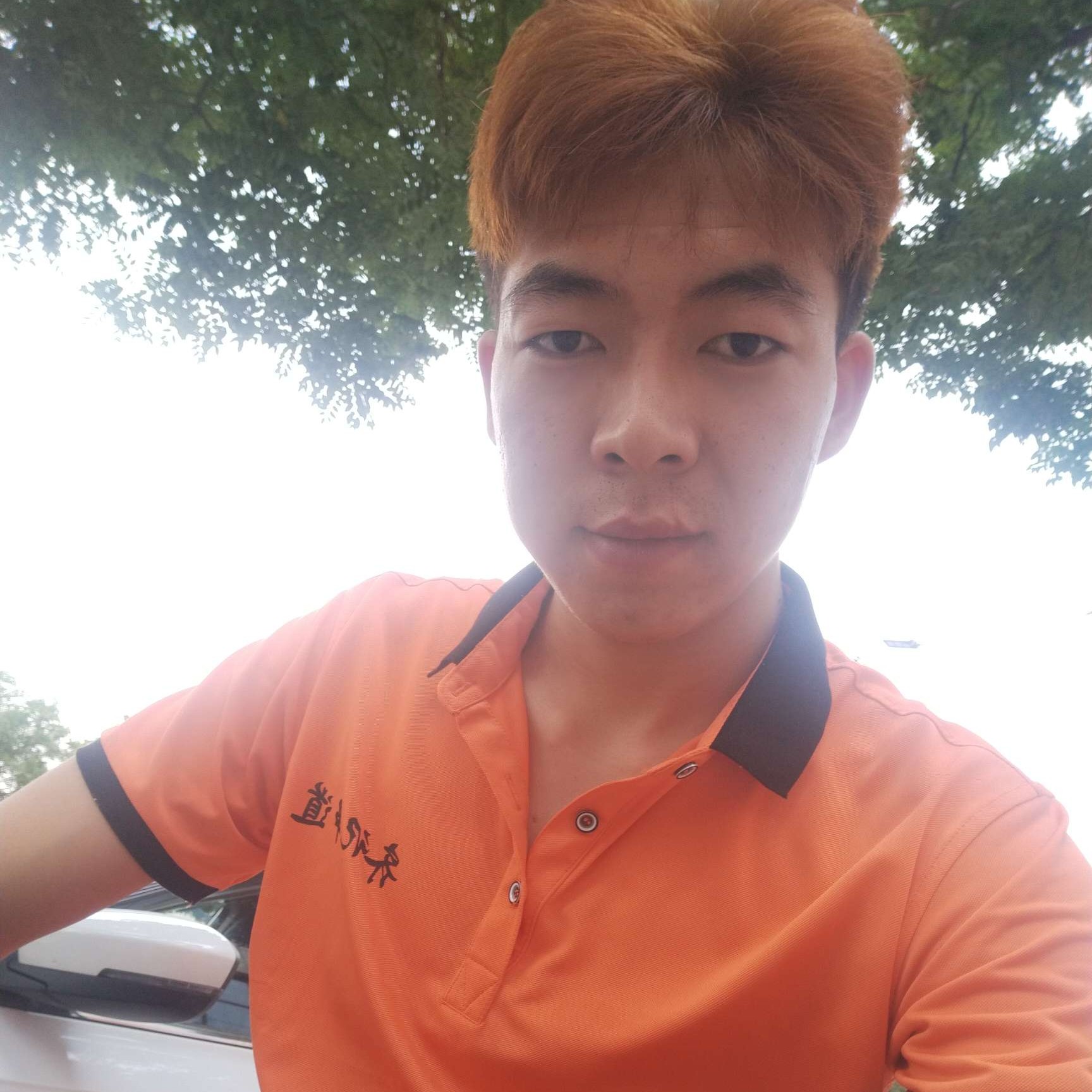 纸鹤停止无心的照片