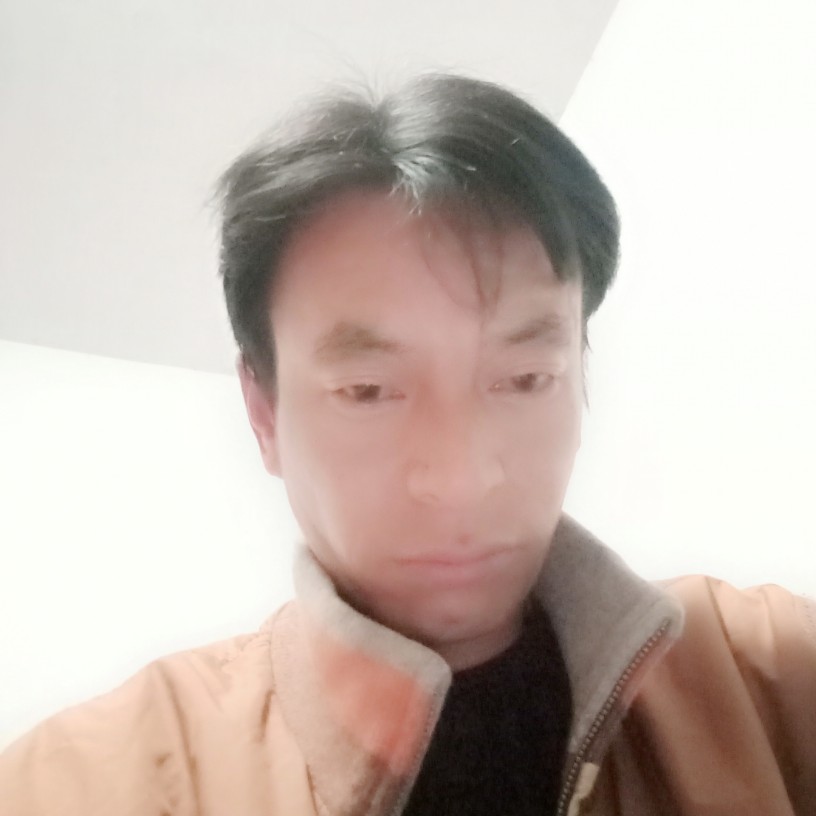理解永远万岁！的照片