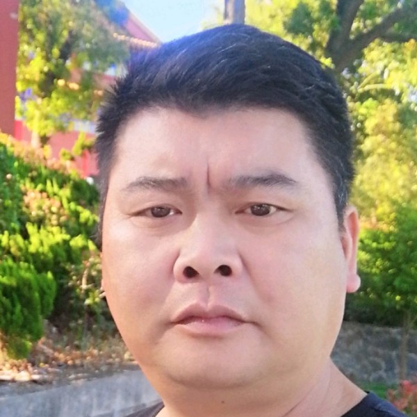 猎豹就舒服的照片